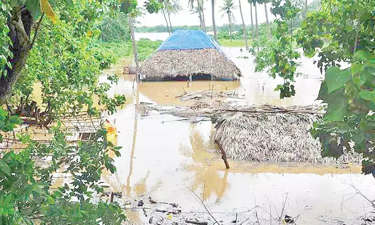 Telangana govt puts flood damage at Rs 1,400 cr