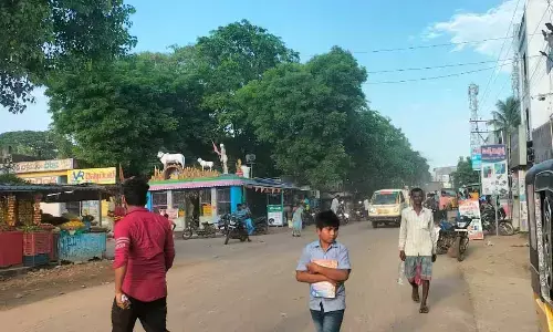 A view of Gokavaram village