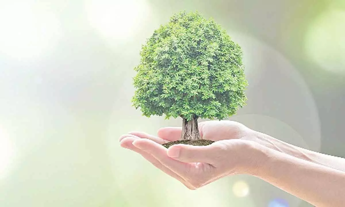 Role of hospitality sector in driving sustainability for a green future