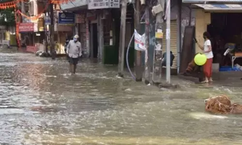 For representational purpose