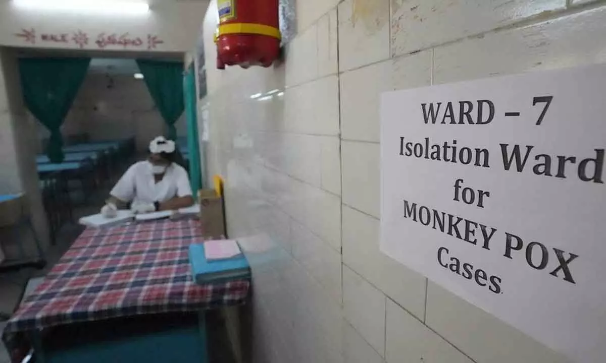 A health worker works at a monkeypox ward set up at a government hospital. (Representational image)
