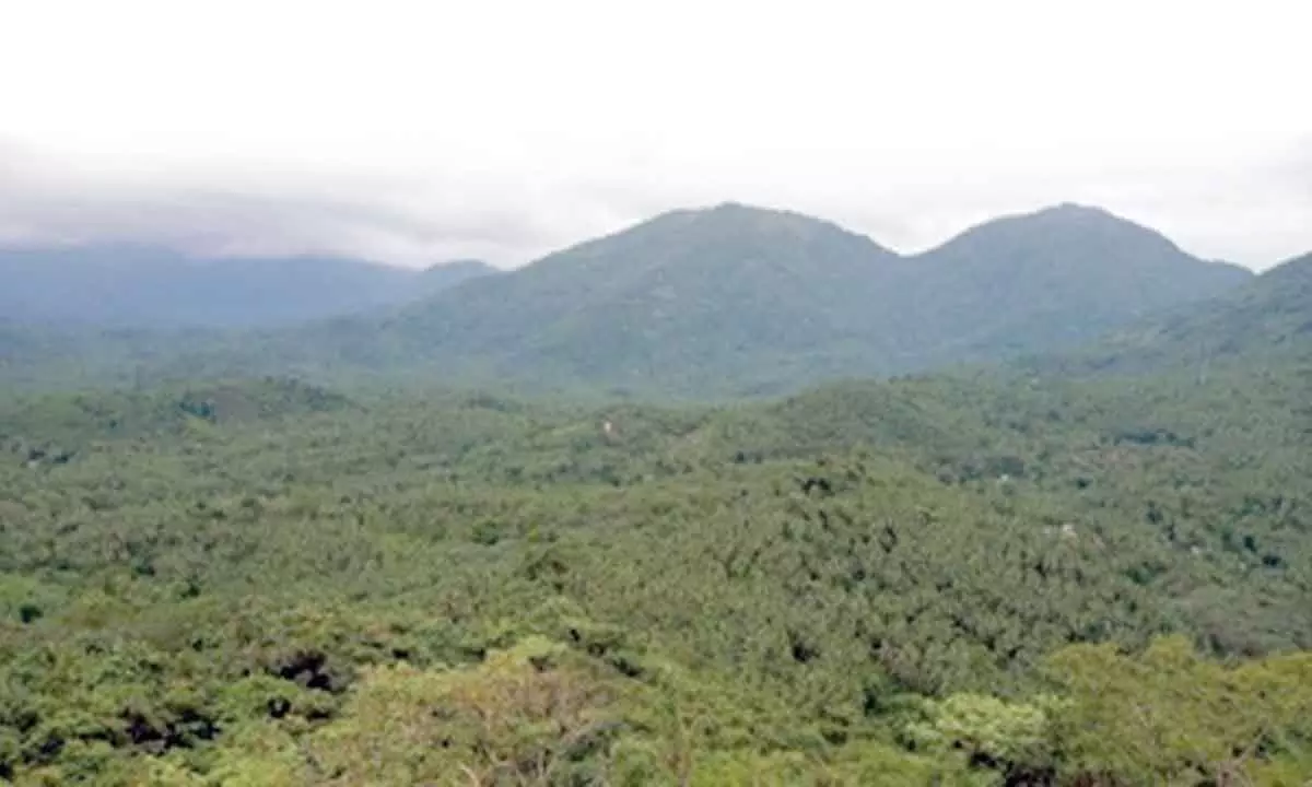 Western Ghats as eco-sensitive zone: Experts slam those opposing move