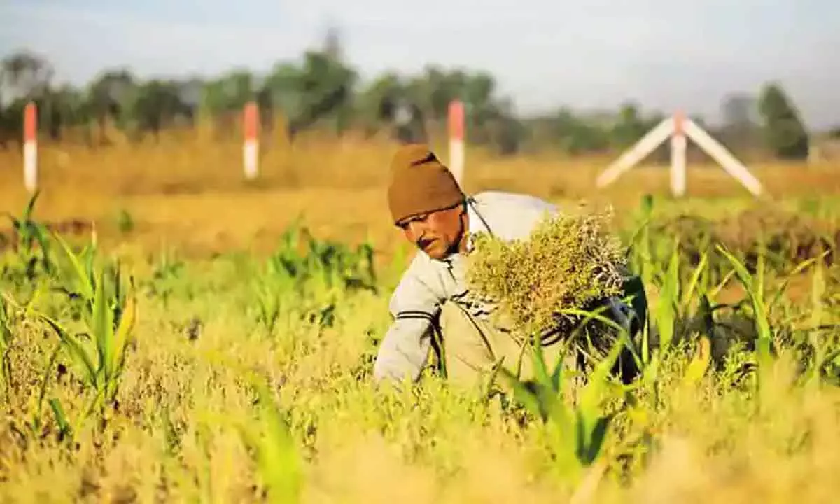 Prioritise agri boost over politics