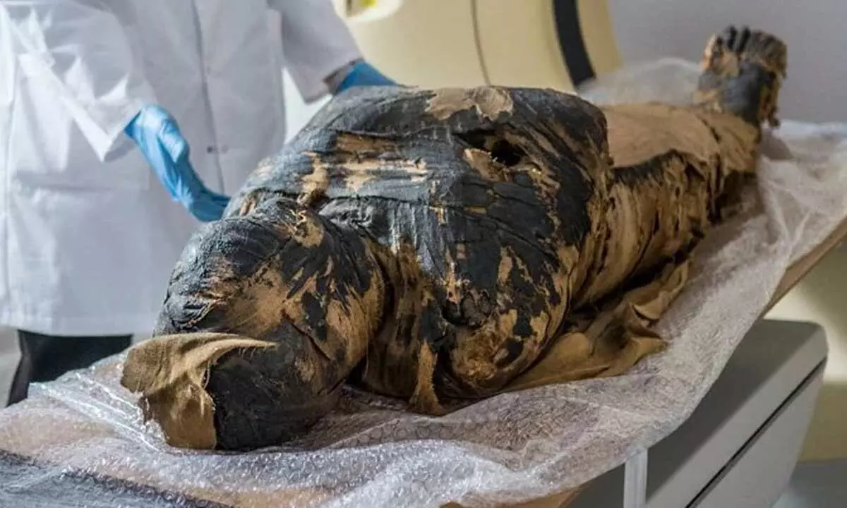 Another Unexpected Turn In Yhe Mysterious Pregnant Mummy Case