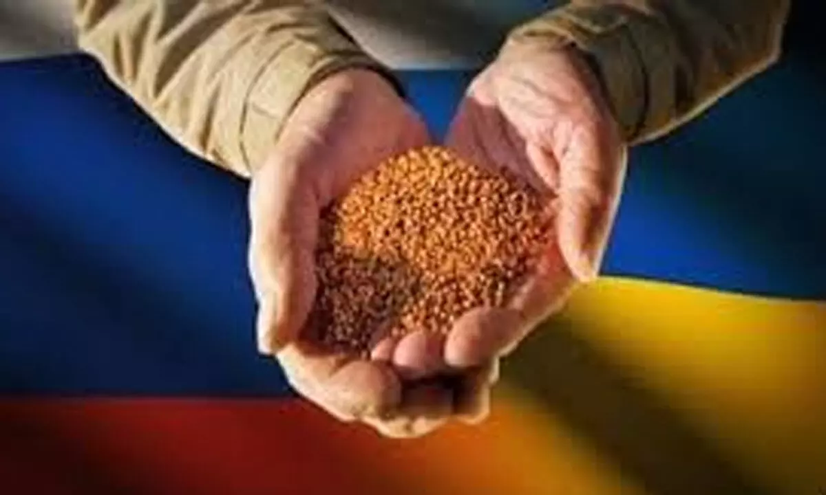 Hope Russia-Ukraine grain deal holds!