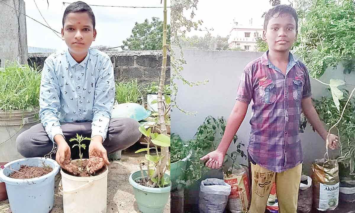 Hyderabad: Garden growing turns into full time passion among youngsters