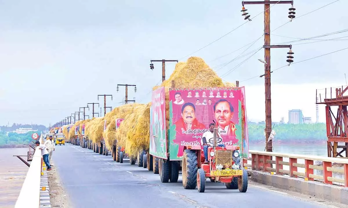 MLA Sandra distributes 50 truck fodders to goshalas