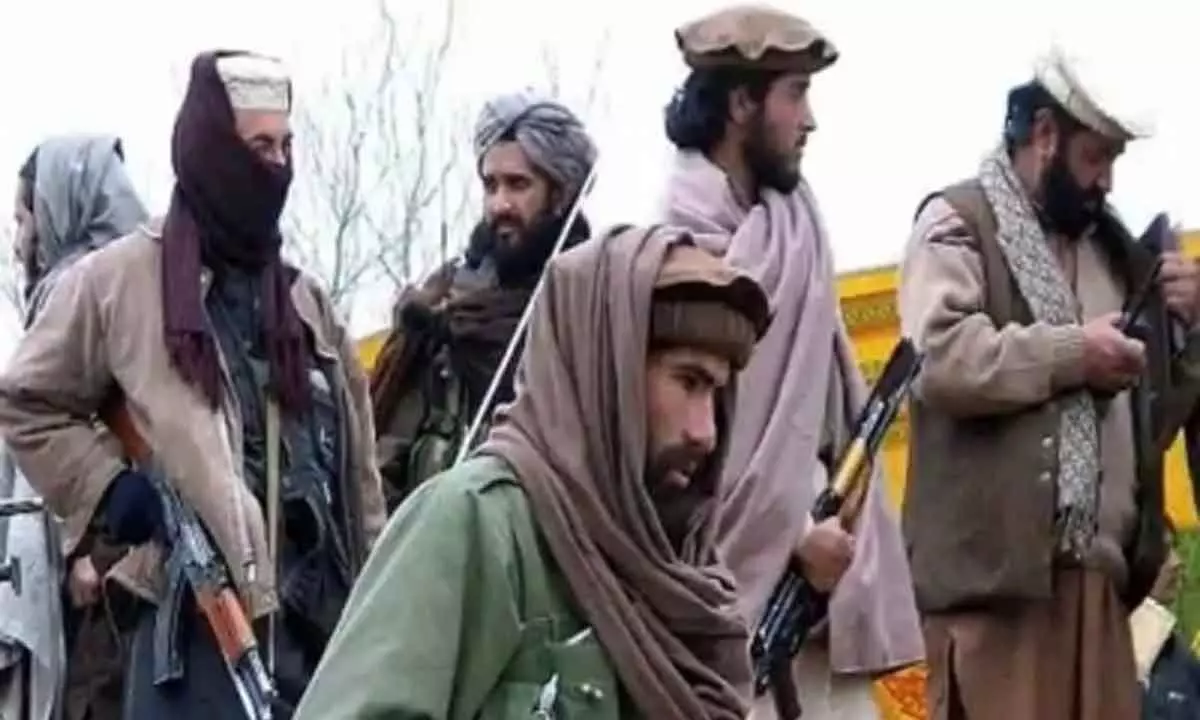 Pakistan Taliban dont trust Pak ulema in the absence of military assurance