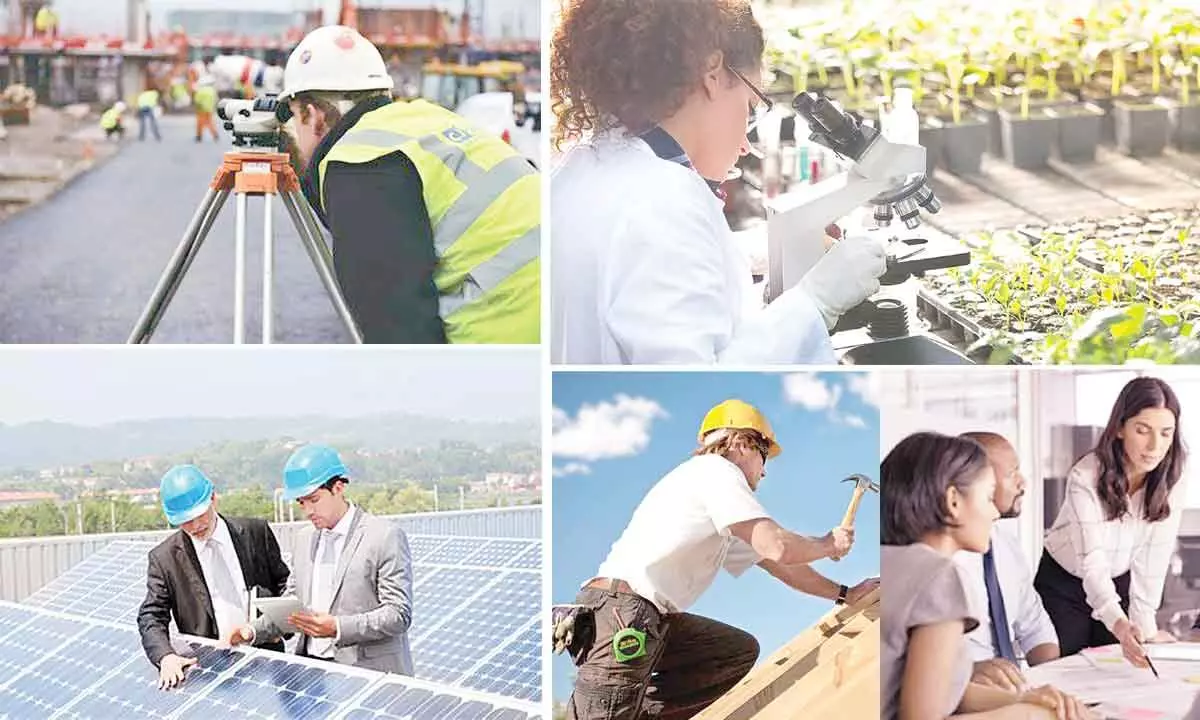Jobs in clean energy sector: What you need to know