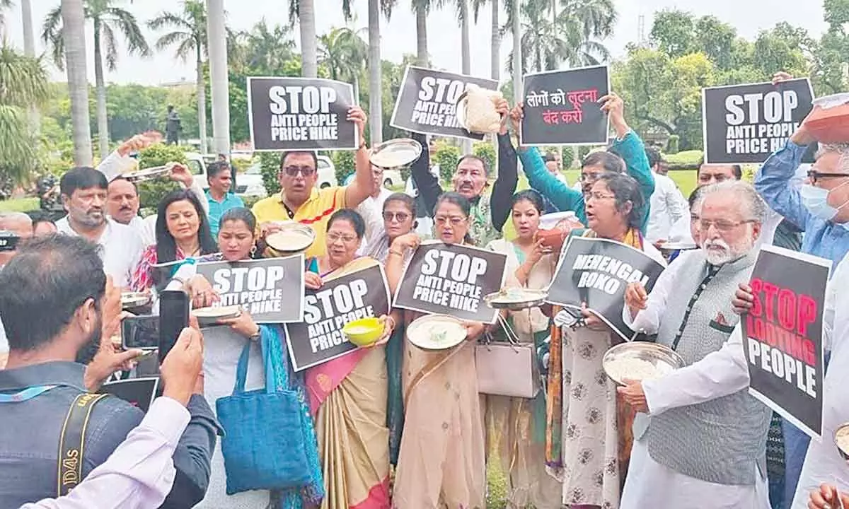 Suspended Rajya Sabha MPs begin relay protest