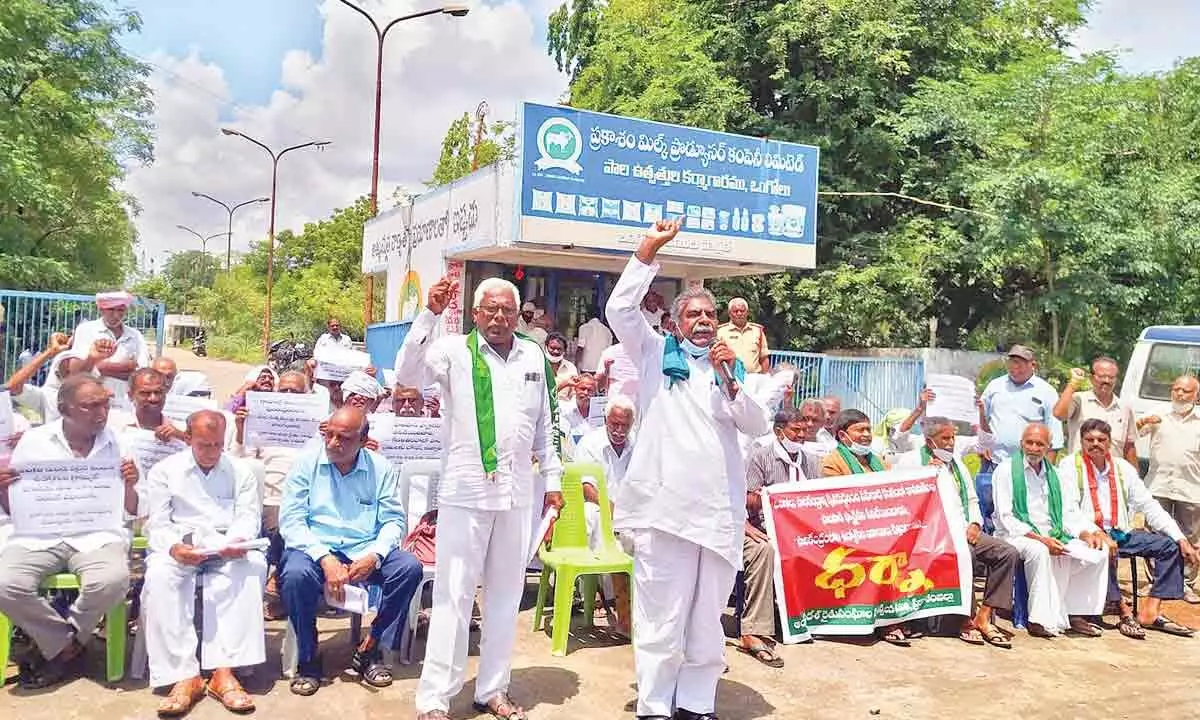 Members of farmers organisations staging a protest in front of Ongole Dairy in Ongole on Wednesday