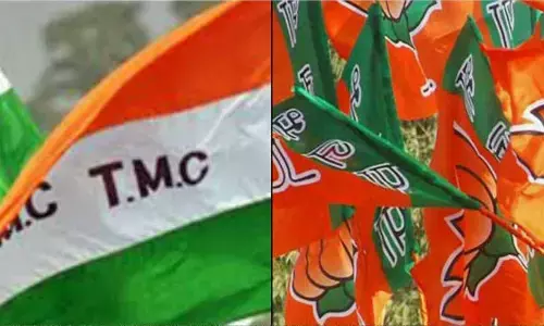 For representational purpose