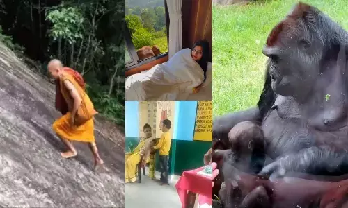 Top Trending Videos Of The Week