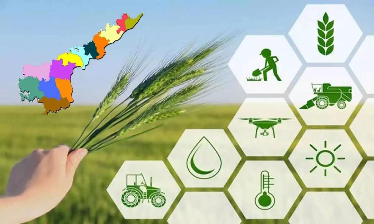 Andhra Pradesh tops in Utilisation of Agriculture Infrastructure funds