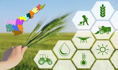 Andhra Pradesh tops in Utilisation of Agriculture Infrastructure funds
