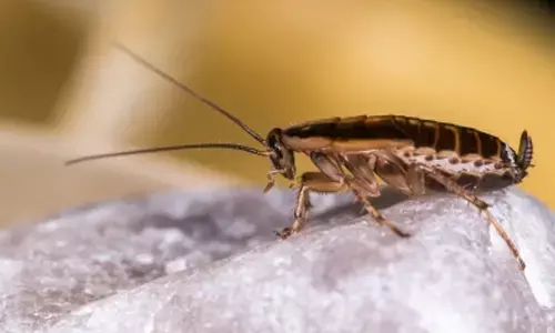 Representational image