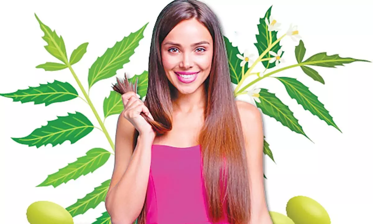 Heal your hair with Neem