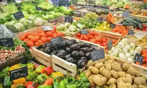 Plant-based meat healthier, more sustainable than animal products: Study