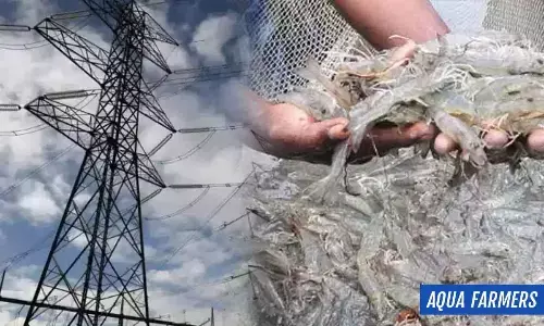 AP govt. to provide electricity subsidy to Aqua farmers from September 1