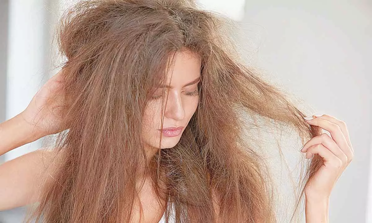 Humidity And Hair | atelier-yuwa.ciao.jp