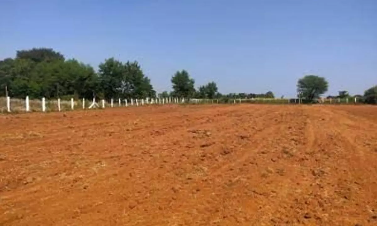 A groundnut crop land appears barren in Anantapur