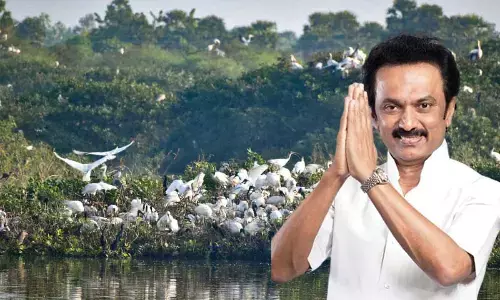 Tamil Nadu Chief Minister, M.K. Stalin