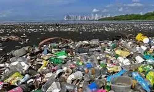 Needed: Global pushback against plastics