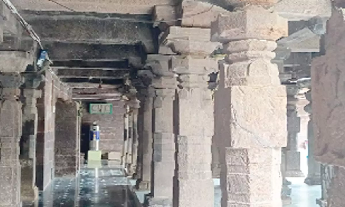 Pillars inside Sri Bhavanarayana Swamy temple in Sarpavaram