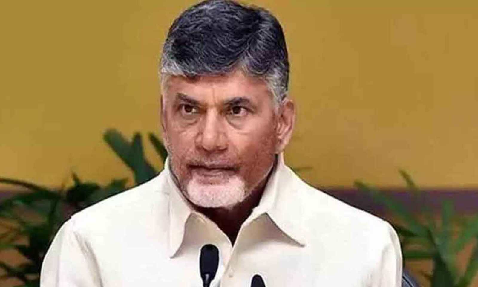 Chandrababu wishes tribals on World Tribals Day, says TDP fought for their  rights