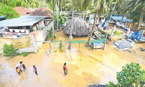 Central teams to visit flood-affected areas in Andhra Pradesh from today