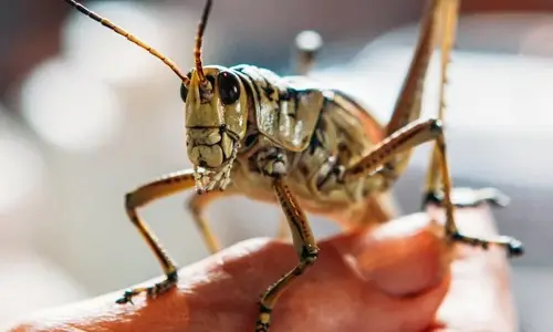 (Alex Walker/Moment/Getty Images)