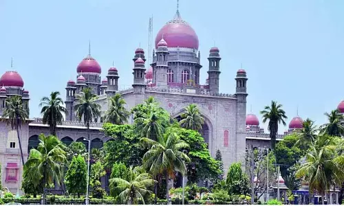 Will be dealt with by concerned courts, rules HC