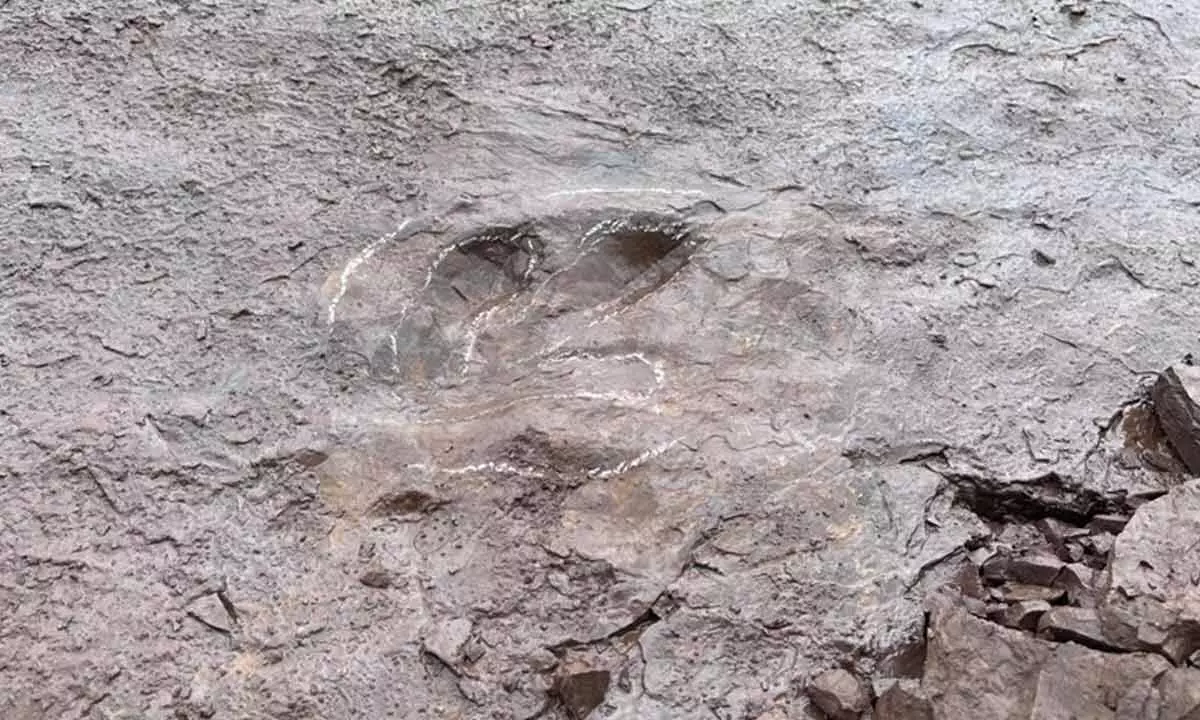 Chinas Finding Of Dinosaur Footprints And Its Significance