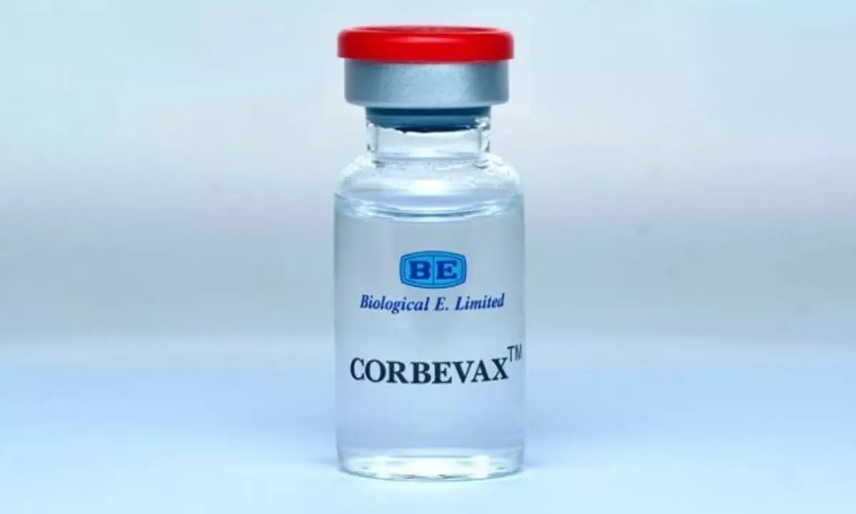 Centre approves Corbevax as precaution dose