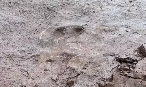 Chinas Finding Of Dinosaur Footprints And Its Significance