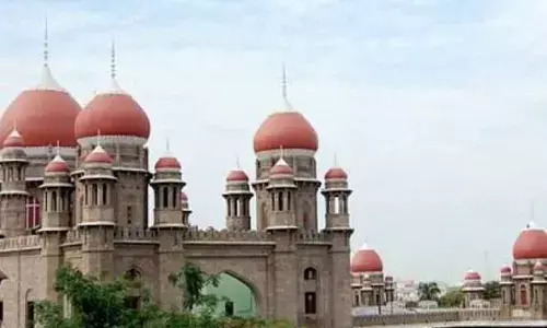 File status report on pollution by Divis Labs, HC directs govt