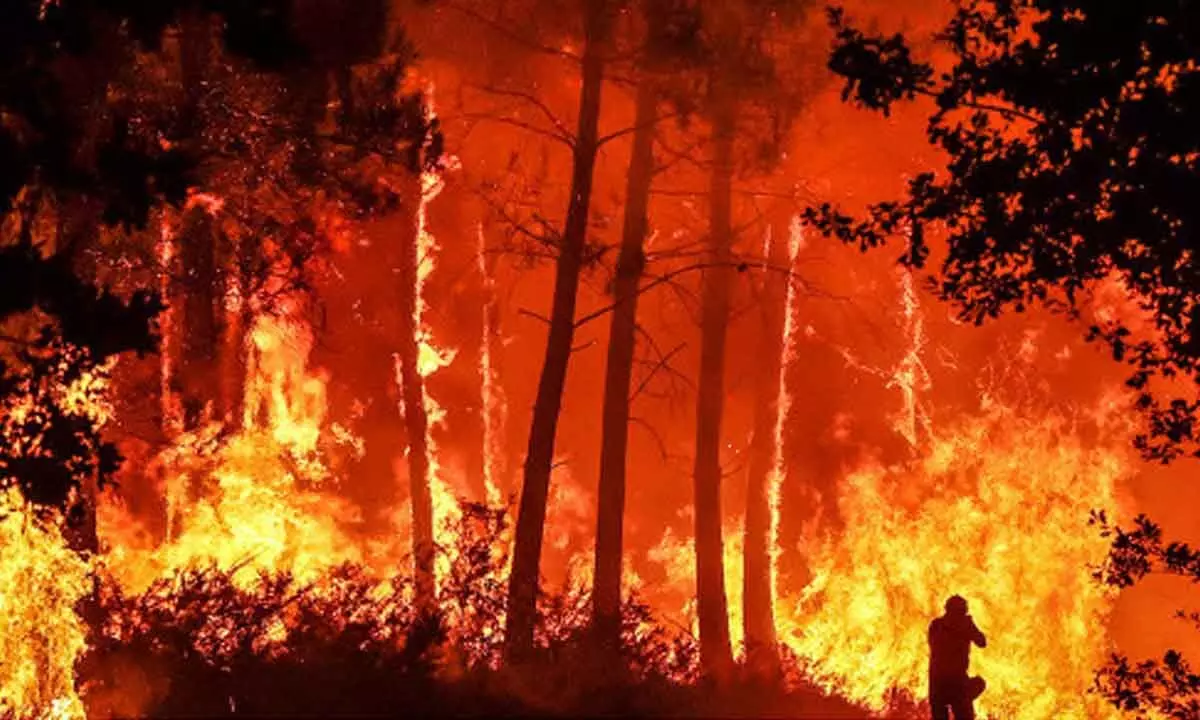 France battles monster wildfire as heatwaves scorch Europe
