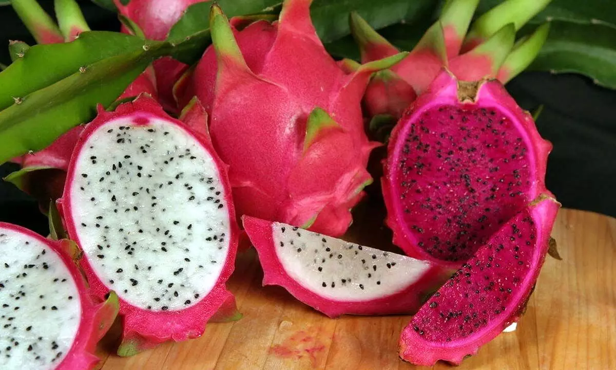 Dragon fruit might be another great option, as one serving does contain around 8% of your recommended daily intake. It also contains, vitamin C, which helps your body absorb iron.