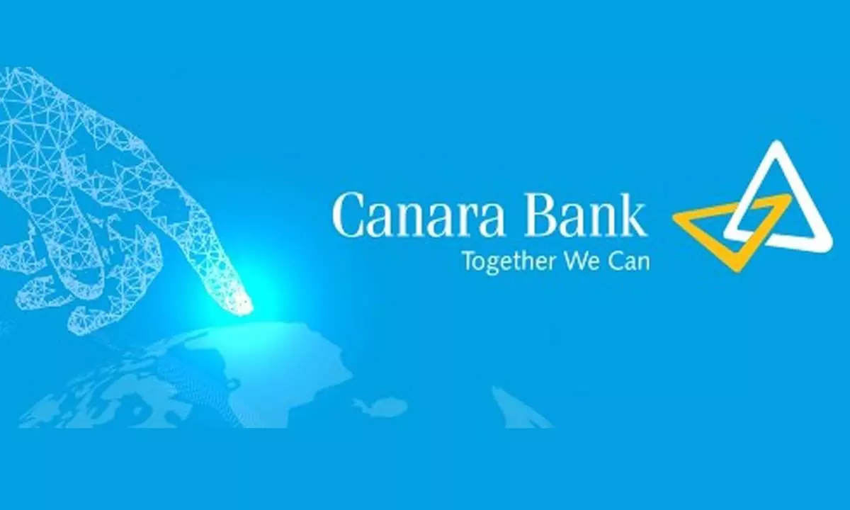 Canara Bank Loan Branch Andhra Bank, bank, angle, triangle, branch png |  PNGWing