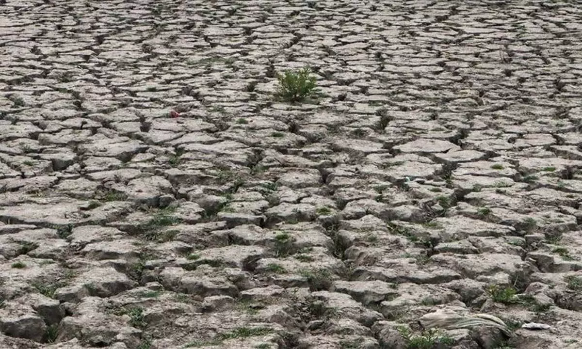 Europes rivers run dry as drought could be worst in 500 years
