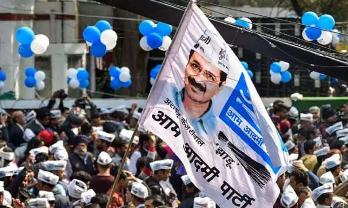 AAP swells its national presence at a rapid pace