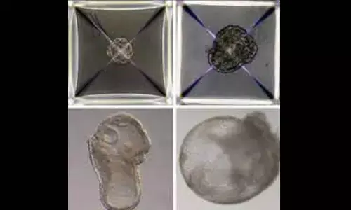 Ethical questions over breakthrough