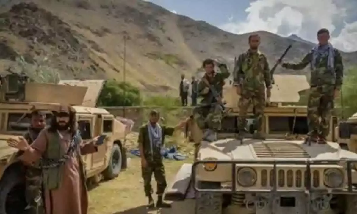 Afghan resistance group claims arrest of Taliban forces