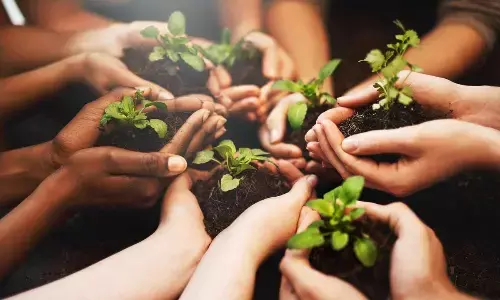 Representational image