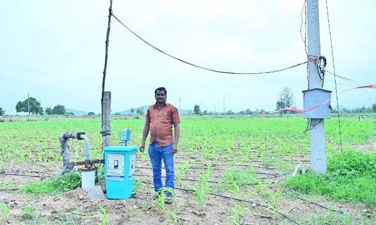 Youth develops a robot to feed water to crops