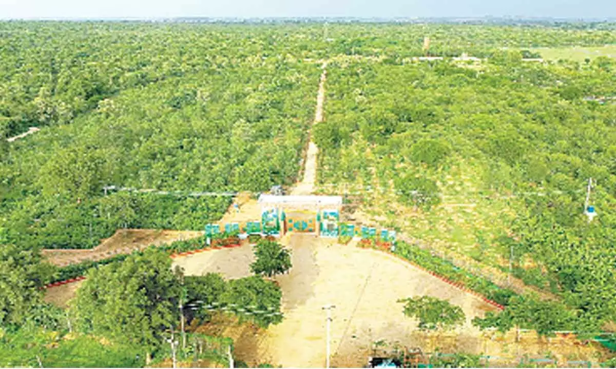 Telangana Government to launch another phase of Haritha Haram programme tomorrow
