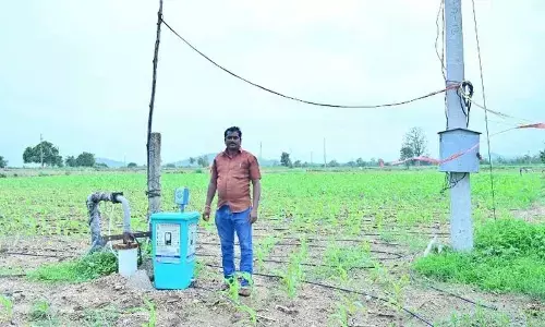 Youth develops a robot to feed water to crops