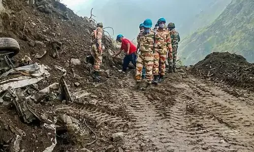 For representational purpose