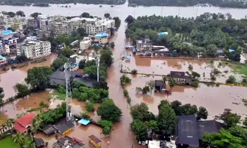 For representational purpose