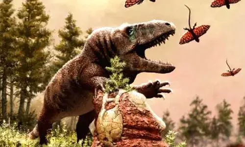 60 mn years of global warming triggered rise of reptiles